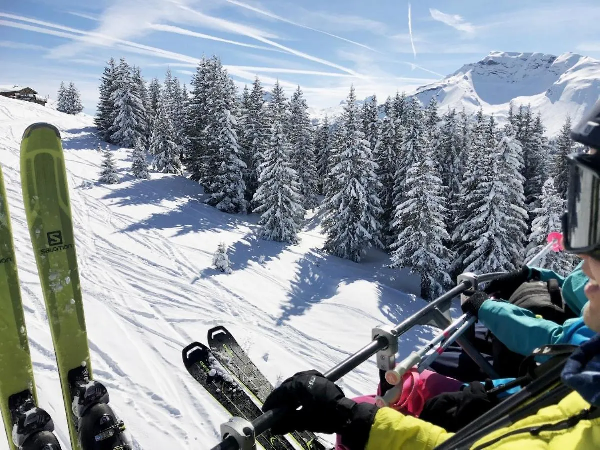 Vila Valgardena Morzine Horská chata